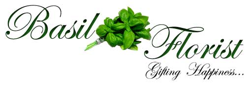 Basil Florist — Local florist SEO ranked on Google by Deep Bhardwaj