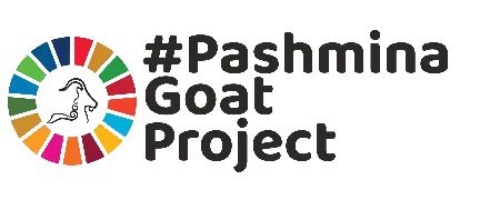 Pashmina — Luxury textiles brand SEO by Deep Bhardwaj